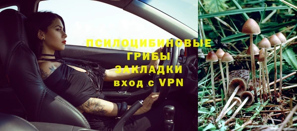 бошки Фурманов