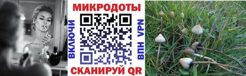 Купить  Сосновоборск  Галлюциногенные грибы мицелий 